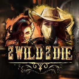 Play the 2 Wild 2 Die slot by Hacksaw Gaming on SpinSahara Casino